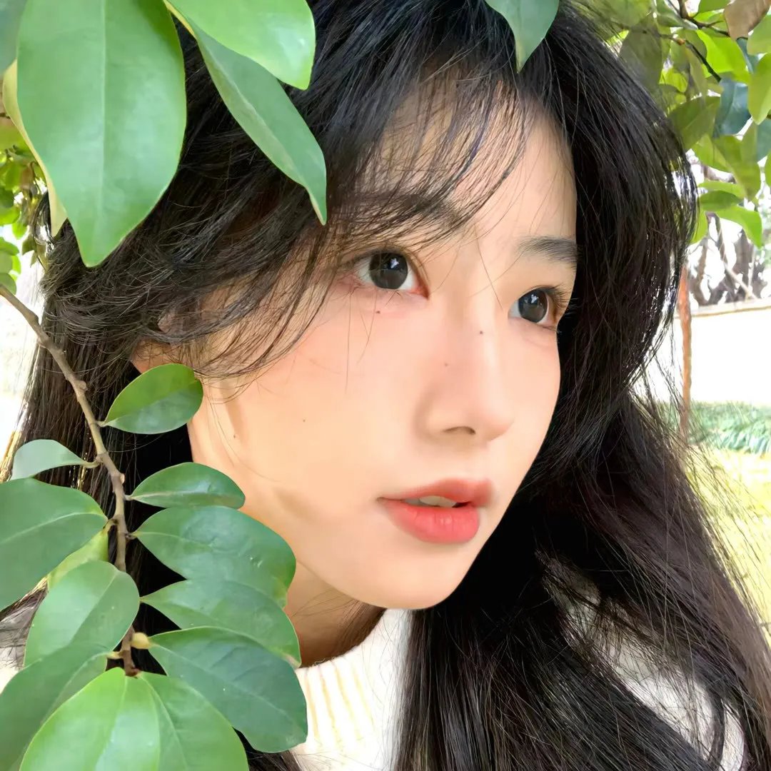 生命中的一天